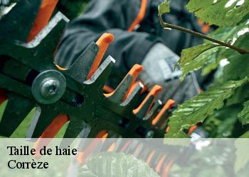 Taille de haie Corrèze