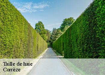 Taille de haie Corrèze
