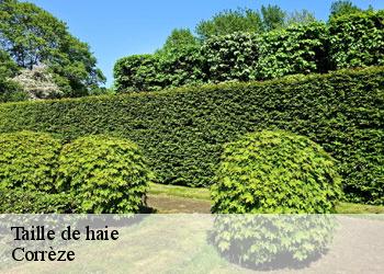 Taille de haie Corrèze