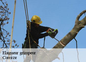 Elagueur grimpeur Corrèze