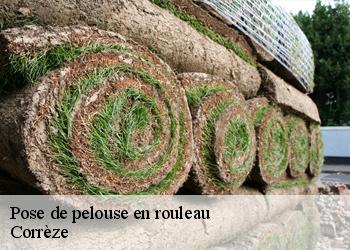 Pose de pelouse en rouleau Corrèze 