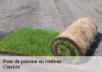 Pose de pelouse en rouleau Corrèze