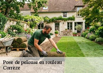Pose de pelouse en rouleau Corrèze