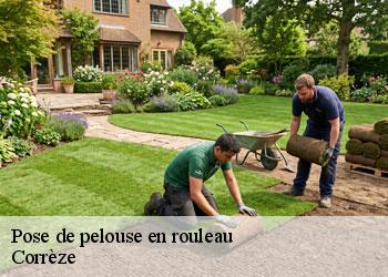 Pose de pelouse en rouleau Corrèze
