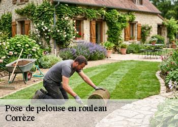 Pose de pelouse en rouleau Corrèze 