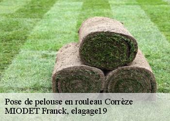 Pose de pelouse en rouleau 19 Corrèze  MIODET Franck, elagage19