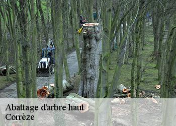 Abattage d'arbre haut Corrèze