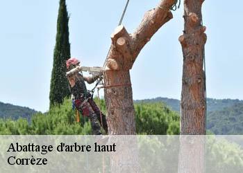 Abattage d'arbre haut Corrèze