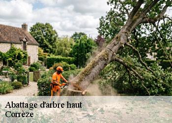 Abattage d'arbre haut Corrèze