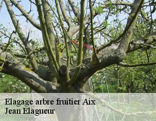 Elagage arbre fruitier  aix-19200 Jean Elagueur