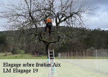 Elagage arbre fruitier aix-19200 LM Elagage 19