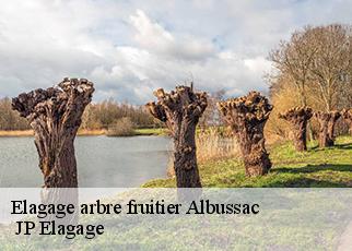 Elagage arbre fruitier albussac-19380 JP Elagage