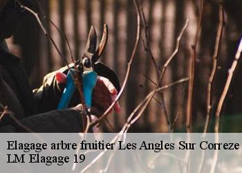 Elagage arbre fruitier  19000
