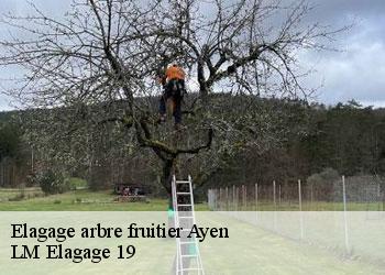 Elagage arbre fruitier  ayen-19310 LM Elagage 19