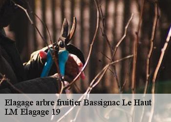Elagage arbre fruitier 19220