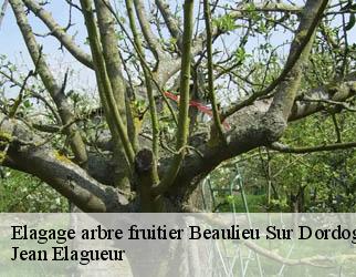 Elagage arbre fruitier beaulieu-sur-dordogne-19120 Jean Elagueur