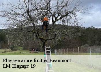 Elagage arbre fruitier  beaumont-19390 LM Elagage 19