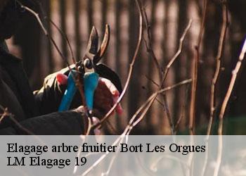Elagage arbre fruitier 19110