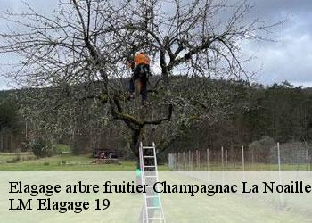 Elagage arbre fruitier  champagnac-la-noaille-19320 LM Elagage 19