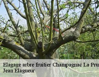 Elagage arbre fruitier  champagnac-la-prune-19320 Jean Elagueur