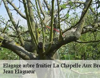 Elagage arbre fruitier la-chapelle-aux-brocs-19360 Jean Elagueur