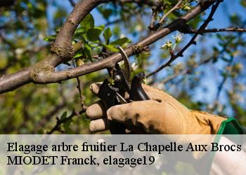 Elagage arbre fruitier  la-chapelle-aux-brocs-19360 MIODET Franck, elagage19