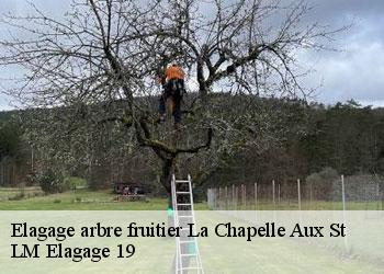Elagage arbre fruitier la-chapelle-aux-st-19120 LM Elagage 19