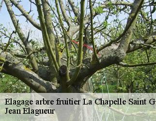 Elagage arbre fruitier la-chapelle-saint-geraud-19430 Jean Elagueur