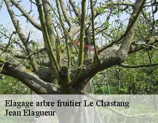 Elagage arbre fruitier le-chastang-19190 Jean Elagueur