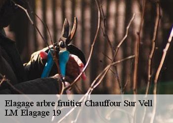Elagage arbre fruitier 19500