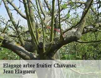 Elagage arbre fruitier chavanac-19290 Jean Elagueur