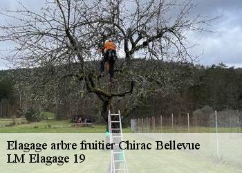 Elagage arbre fruitier  chirac-bellevue-19160 LM Elagage 19