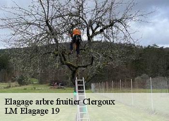 Elagage arbre fruitier clergoux-19320 LM Elagage 19
