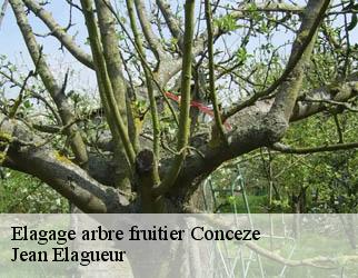 Elagage arbre fruitier  conceze-19350 Jean Elagueur