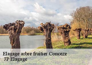 Elagage arbre fruitier conceze-19350 JP Elagage
