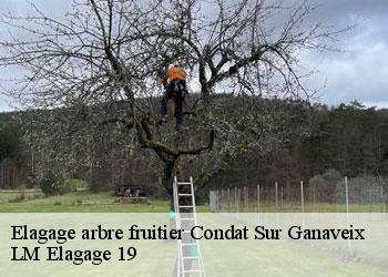 Elagage arbre fruitier condat-sur-ganaveix-19140 LM Elagage 19