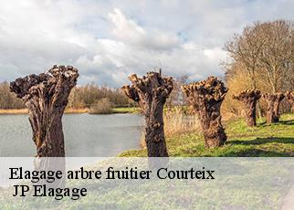 Elagage arbre fruitier courteix-19340 JP Elagage