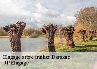 Elagage arbre fruitier darazac-19220 JP Elagage