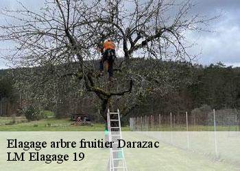 Elagage arbre fruitier darazac-19220 LM Elagage 19