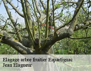 Elagage arbre fruitier espartignac-19140 Jean Elagueur
