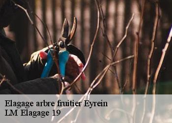 Elagage arbre fruitier 19800
