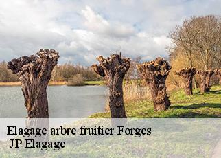 Elagage arbre fruitier forges-19380 JP Elagage