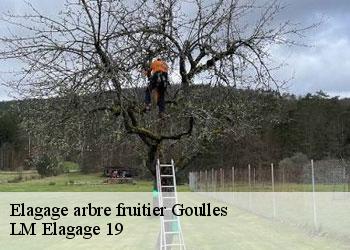 Elagage arbre fruitier goulles-19430 LM Elagage 19