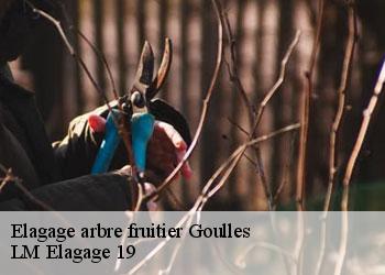 Elagage arbre fruitier 19430