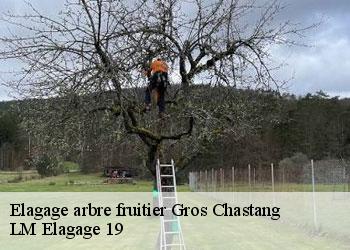 Elagage arbre fruitier gros-chastang-19320 LM Elagage 19