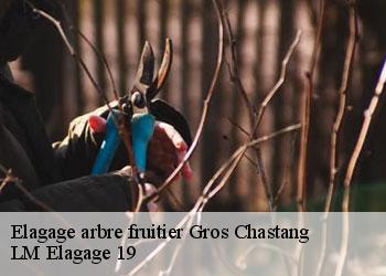 Elagage arbre fruitier 19320