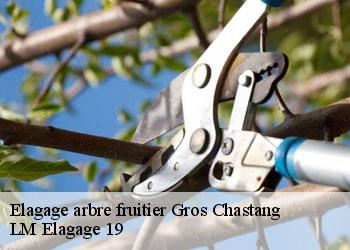 Elagage arbre fruitier 19320