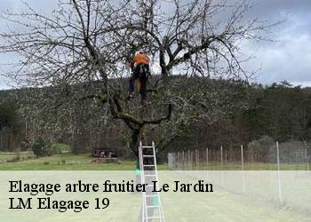 Elagage arbre fruitier  le-jardin-19300 LM Elagage 19