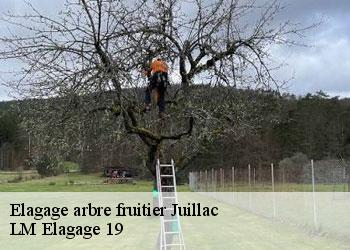 Elagage arbre fruitier juillac-19350 LM Elagage 19