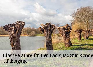 Elagage arbre fruitier ladignac-sur-rondelle-19150 JP Elagage